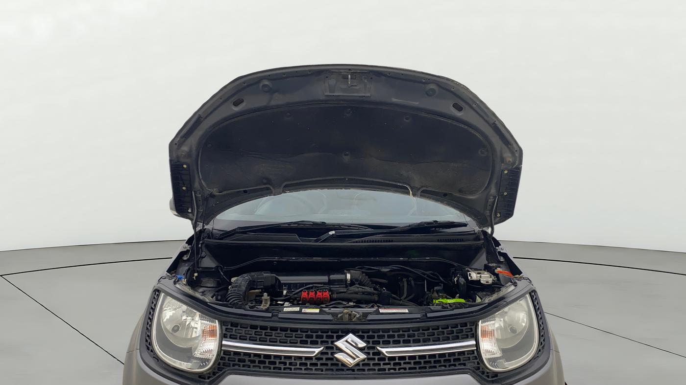 2018 Maruti IGNIS DELTA 1.2, CNG, Manual, 60,922 km, Open Bonet