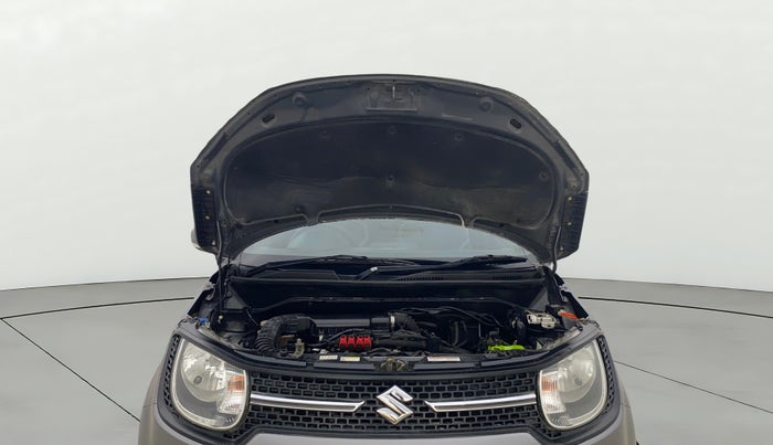 2018 Maruti IGNIS DELTA 1.2, CNG, Manual, 60,922 km, Open Bonet