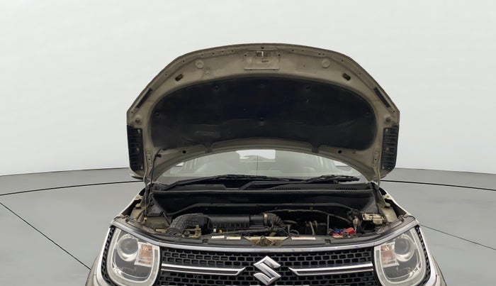 2018 Maruti IGNIS ALPHA 1.2, Petrol, Manual, 96,982 km, Open Bonet