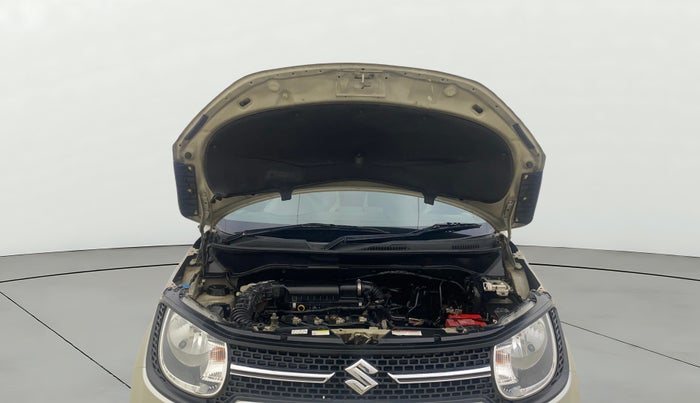 2017 Maruti IGNIS DELTA 1.2, Petrol, Manual, 85,534 km, Open Bonet