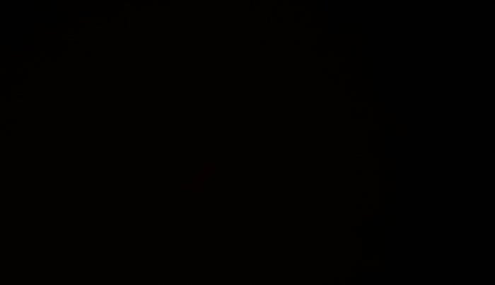 2024 Honda ELEVATE ZX MT, Petrol, Manual, 15,340 km, Third Seat Row ( optional )