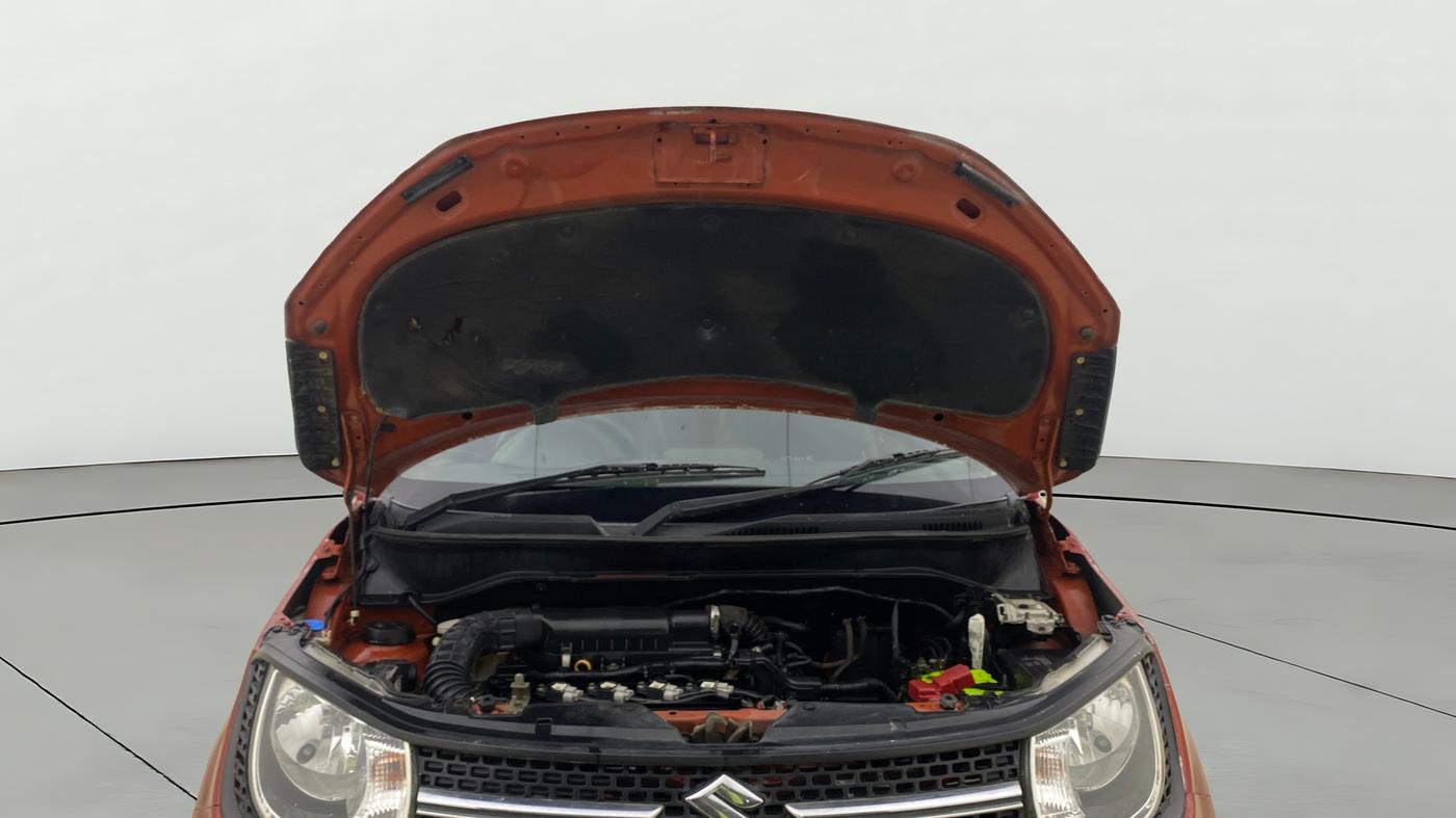 2018 Maruti IGNIS DELTA 1.2 AMT, Petrol, Automatic, 30,567 km, Open Bonet