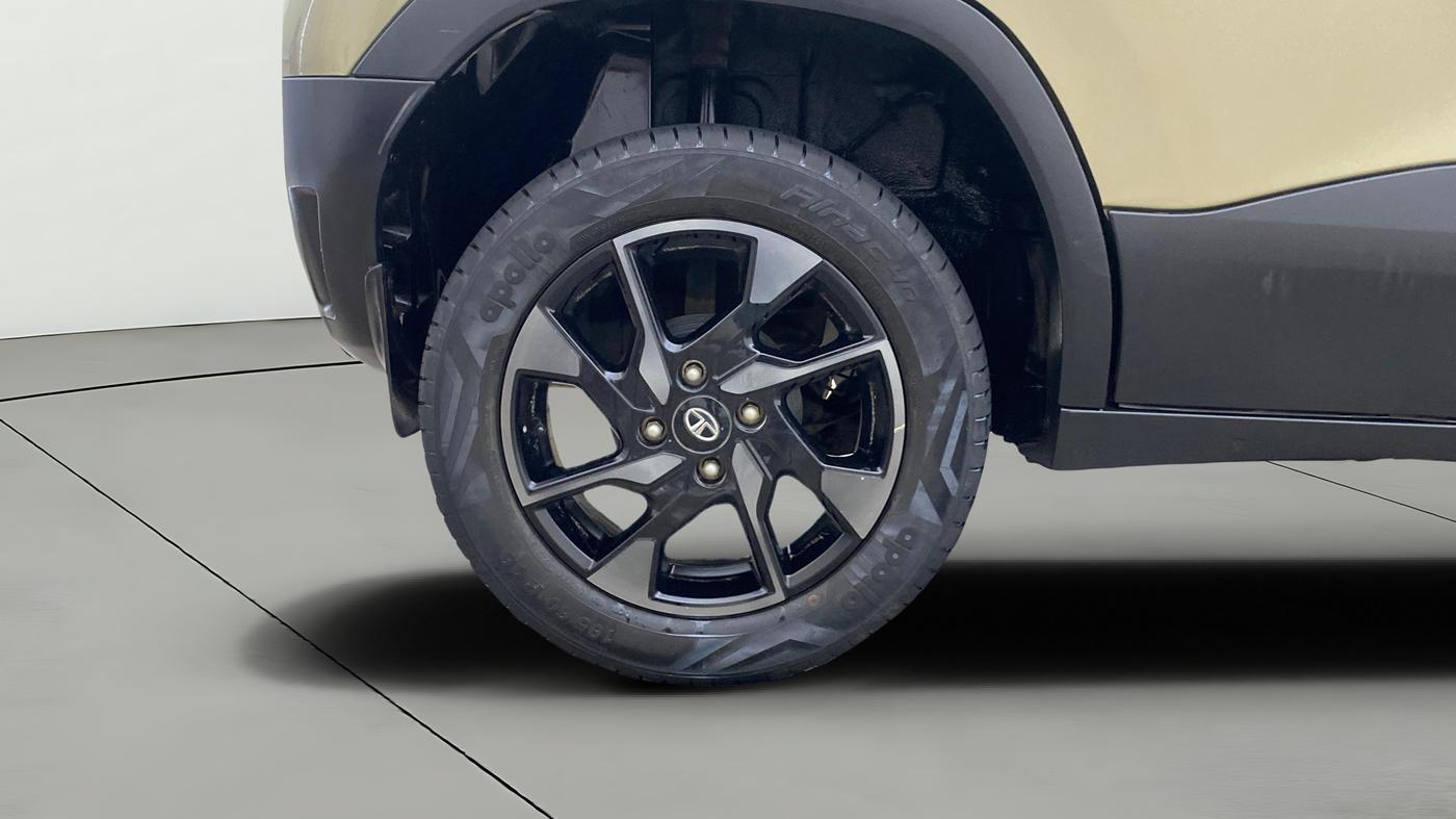 2022 Tata PUNCH CREATIVE 1.2 AMT KAZIRANGA EDITION , Petrol, Automatic, 25,239 km, Right Rear Wheel