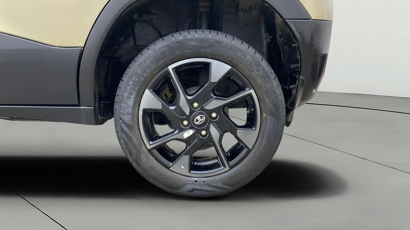 2022 Tata PUNCH CREATIVE 1.2 AMT KAZIRANGA EDITION , Petrol, Automatic, 25,239 km, Left Rear Wheel