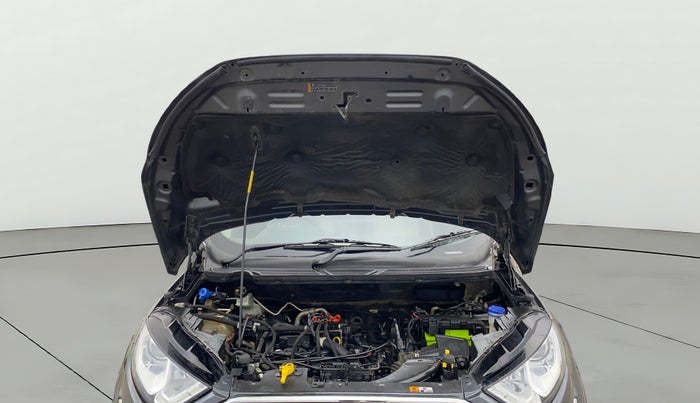 2019 Ford Ecosport TITANIUM 1.5L PETROL, CNG, Manual, 54,120 km, Open Bonet