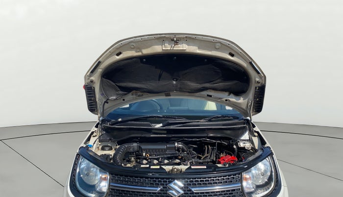 2018 Maruti IGNIS DELTA 1.2 AMT, Petrol, Automatic, 85,388 km, Open Bonet