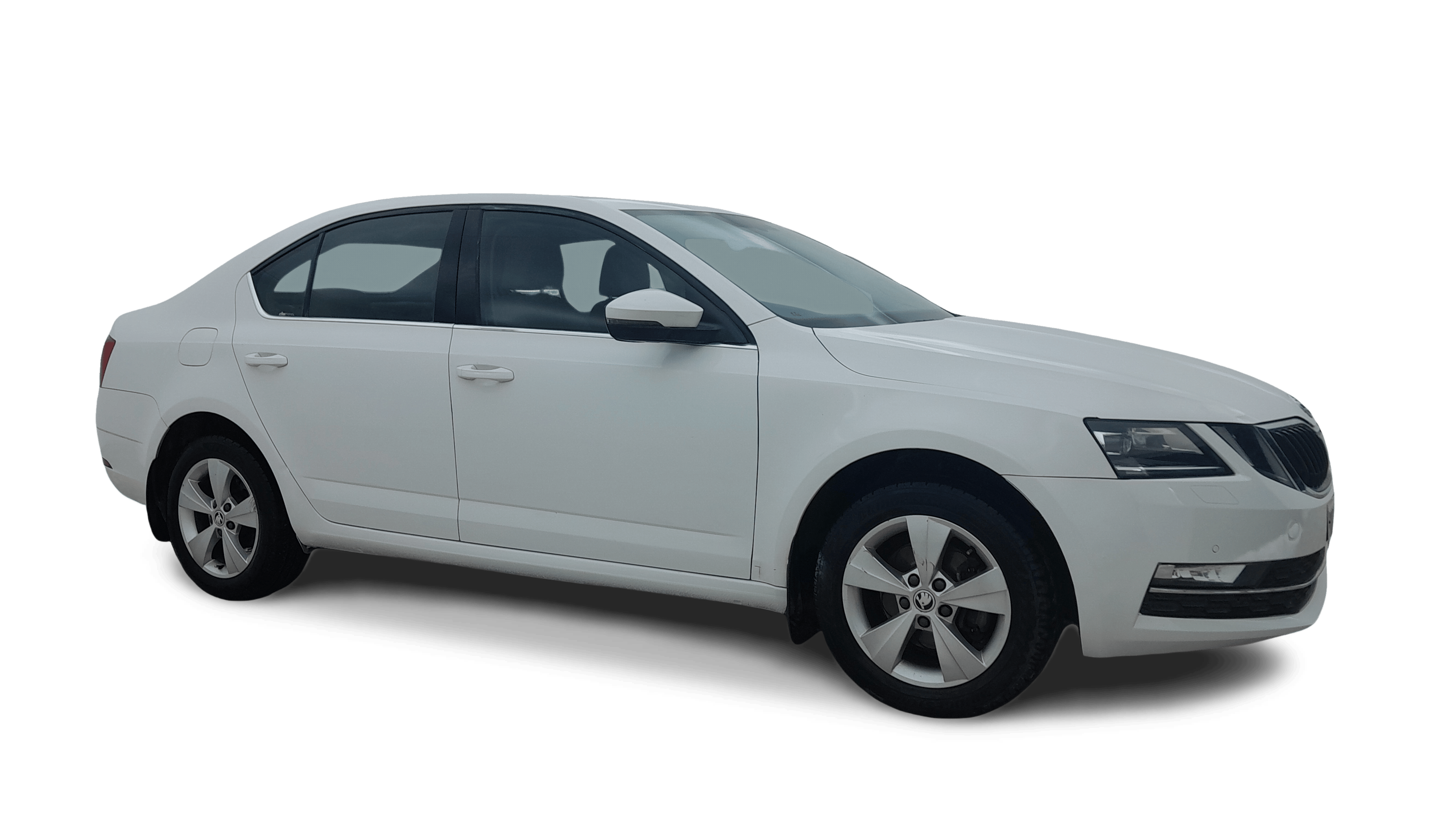 2019 Skoda Octavia - Sedan - Diesel - Manual - ₹11.71 lakh