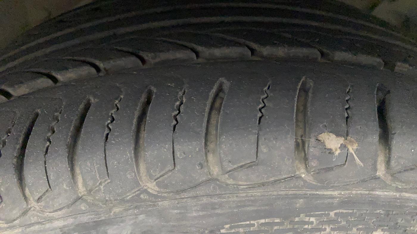 2019 Ford Ecosport TITANIUM + 1.5L PETROL AT, Petrol, Automatic, 31,778 km, Right Front Tyre Tread