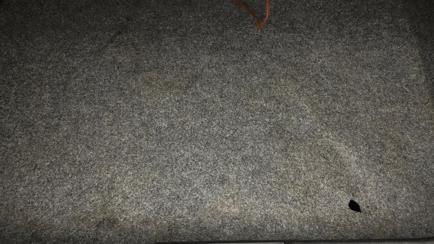 2019 Maruti Alto LXI O, Petrol, Manual, 58,465 km, Boot Inside