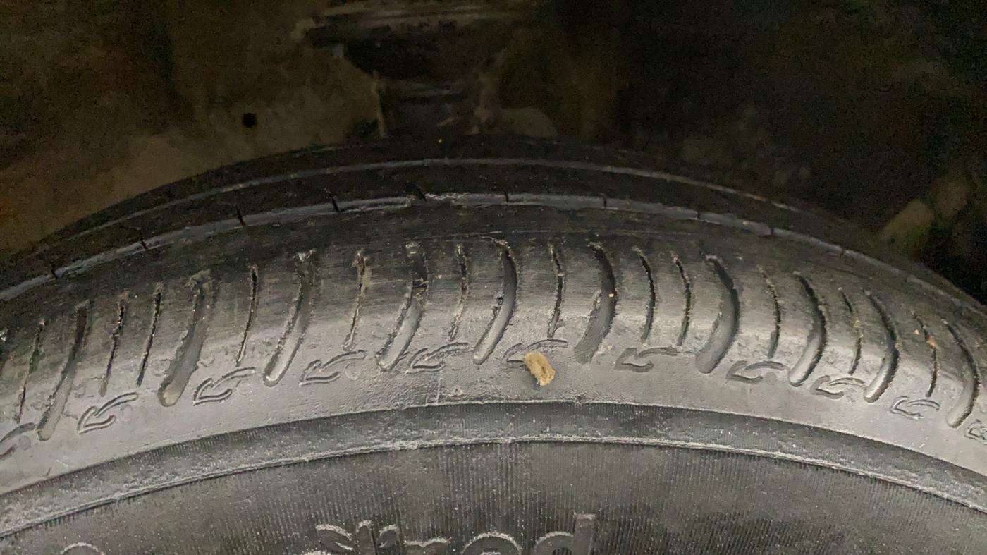 2023 Maruti New Wagon-R VXI CNG 1.0, CNG, Manual, 38,022 km, Right Front Tyre Tread