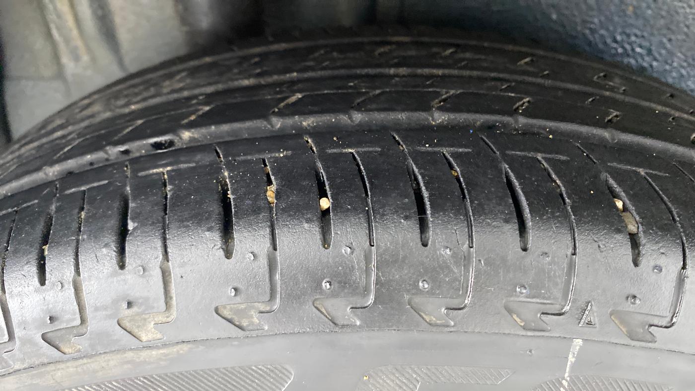 2019 Maruti IGNIS DELTA 1.2 K12, Petrol, Manual, 17,479 km, Left Rear Tyre Tread
