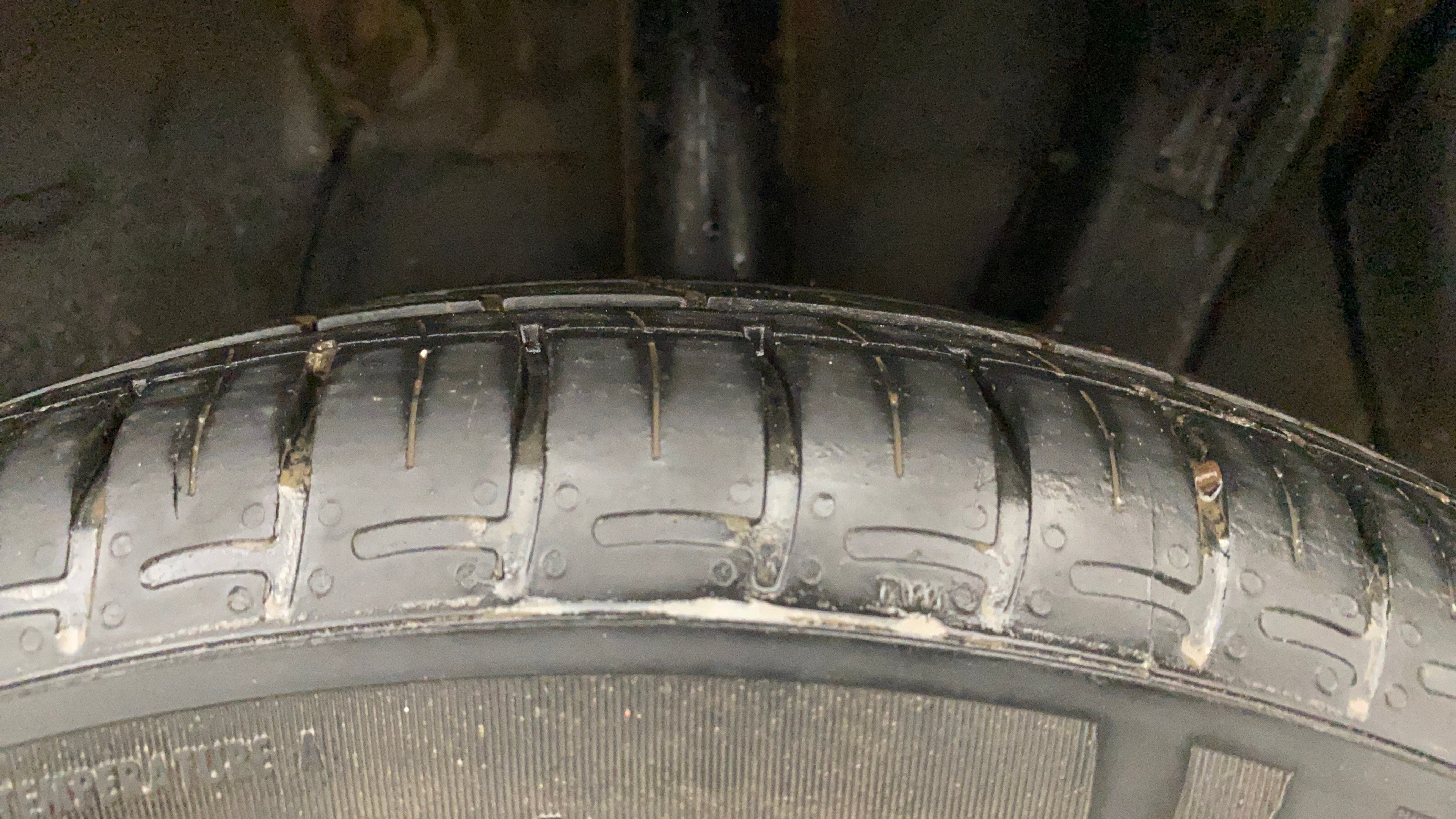 camera-Left-Rear-Tyre-Tread