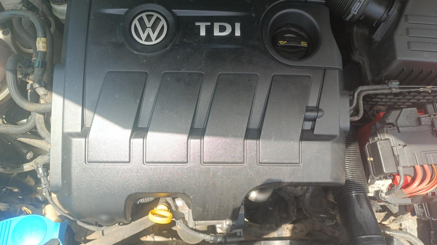2019 Volkswagen Polo HIGHLINE PLUS 1.5 16 ALLOY, Diesel, Manual, 91,371 km, Engine View