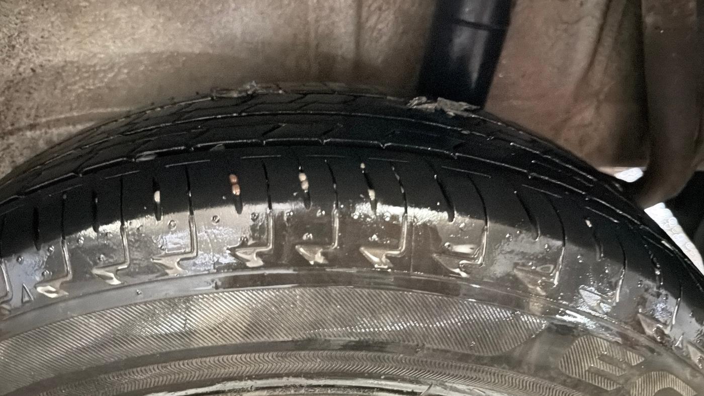 2024 Maruti Celerio LXI, Petrol, Manual, 23,151 km, Left Rear Tyre Tread