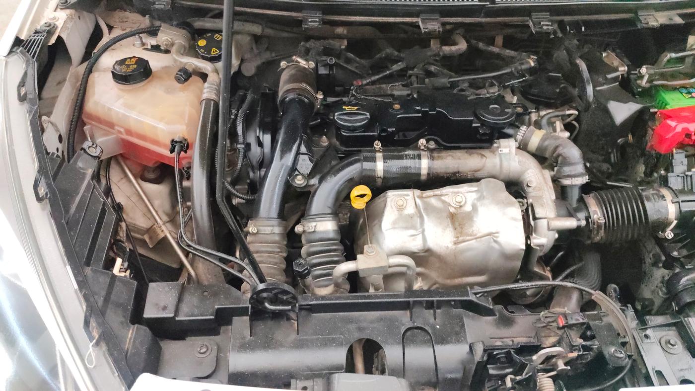2019 Ford FREESTYLE TREND 1.5 DIESEL, Diesel, Manual, 82,355 km, Engine View - Right