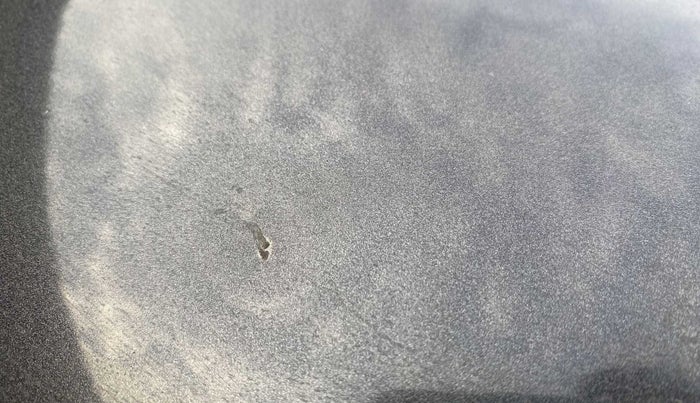 2014 Maruti Alto 800 LXI, Petrol, Manual, 40,350 km, Bonnet (hood) - Slightly dented