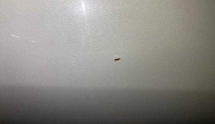 2014 Maruti Swift Dzire VDI, Diesel, Manual, 56,357 km, Rear left door - Paint has faded