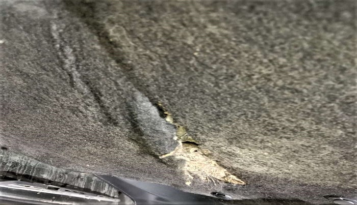 2014 Maruti Ciaz ZXI, Petrol, Manual, 84,712 km, Bonnet (hood) - Insulation cover has minor damage