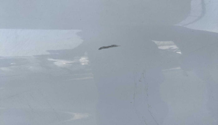 2020 Maruti Alto VXI, Petrol, Manual, 24,726 km, Right fender - Slightly dented