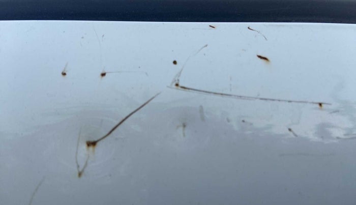 2013 Maruti Alto K10 VXI, Petrol, Manual, 86,187 km, Left B pillar - Minor scratches