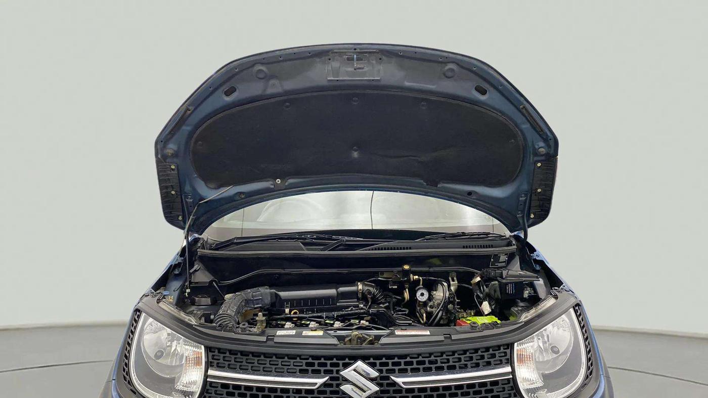 2018 Maruti IGNIS DELTA 1.2 AMT, CNG, Automatic, 35,646 km, Open Bonet