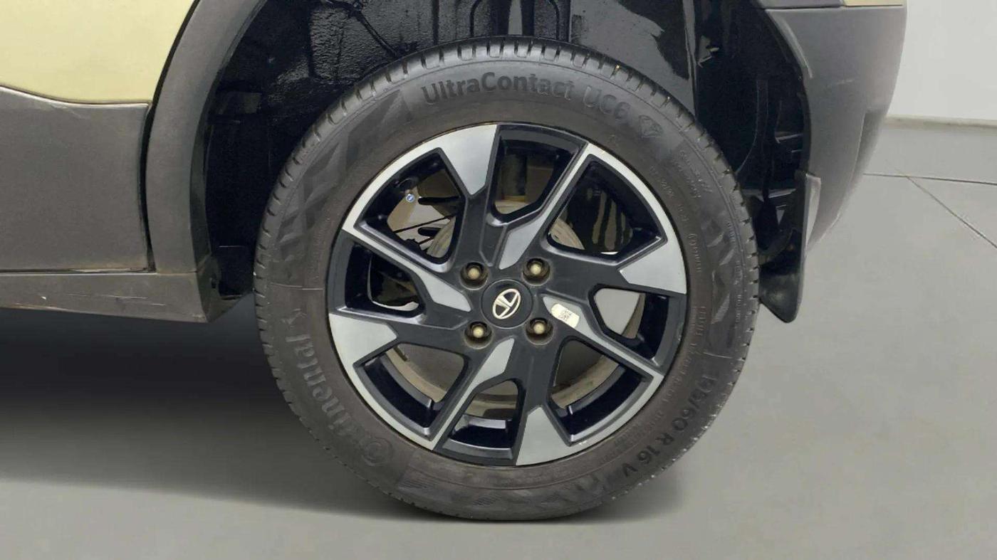 2022 Tata PUNCH CREATIVE 1.2 AMT KAZIRANGA EDITION , Petrol, Automatic, 66,530 km, Left Rear Wheel