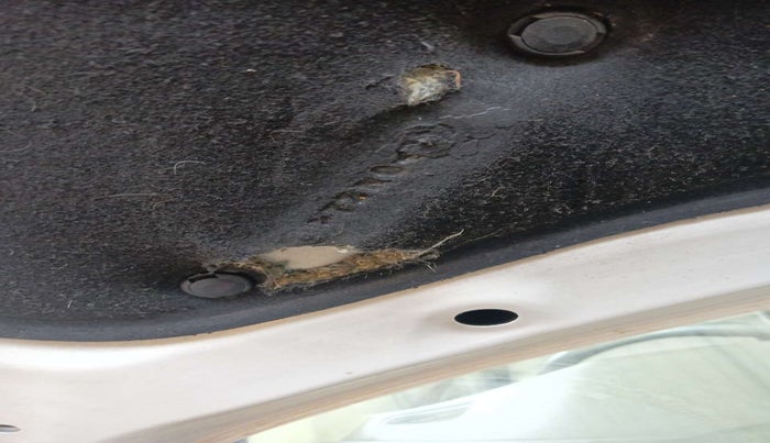 2020 Maruti Ertiga VXI SHVS, Petrol, Manual, 28,760 km, Bonnet (hood) - Insulation cover has minor damage