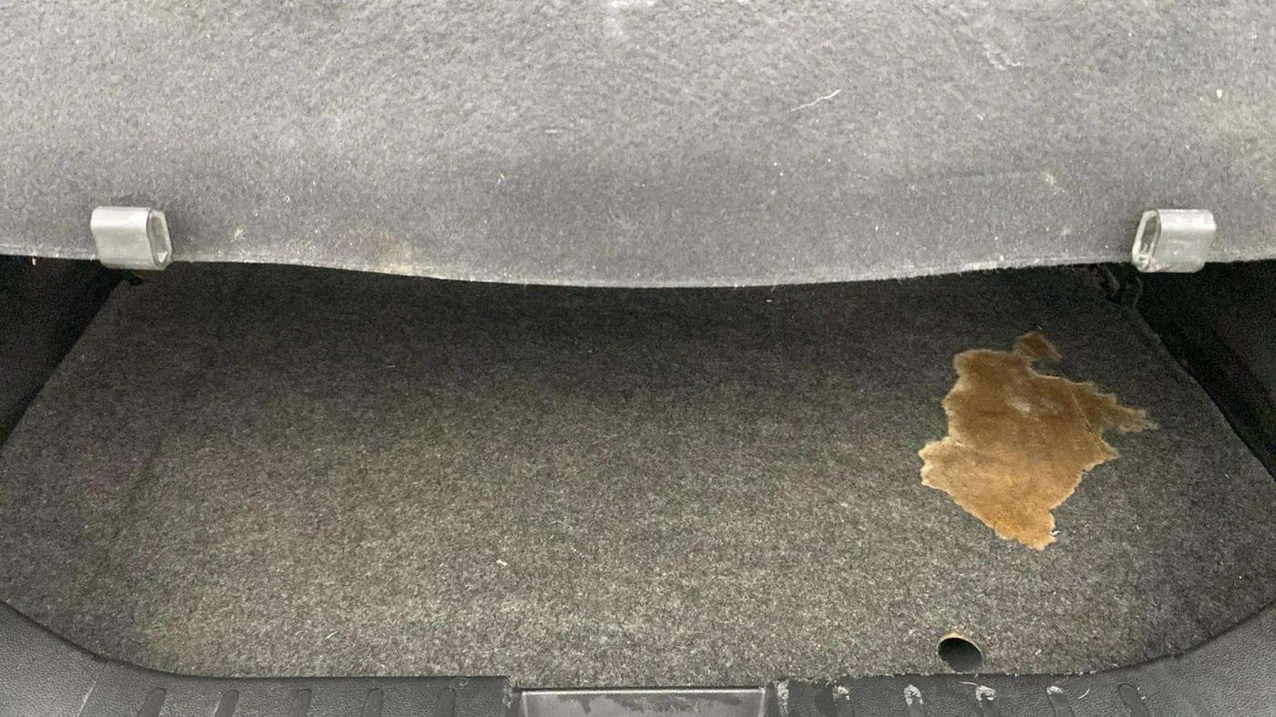 2021 Maruti Alto LXI O, Petrol, Manual, 23,110 km, Boot Inside