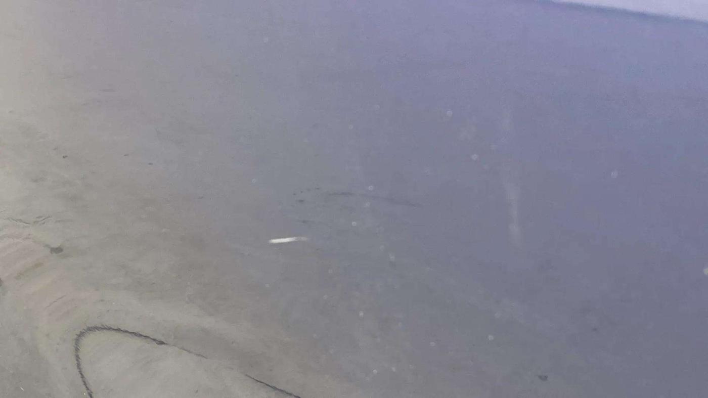 2023 Toyota Glanza S, Petrol, Manual, 8,908 km, Front passenger door - Slightly dented