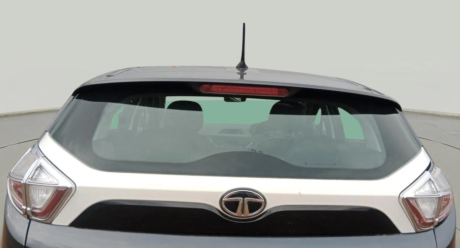 Rear-Windshield---Roof-25