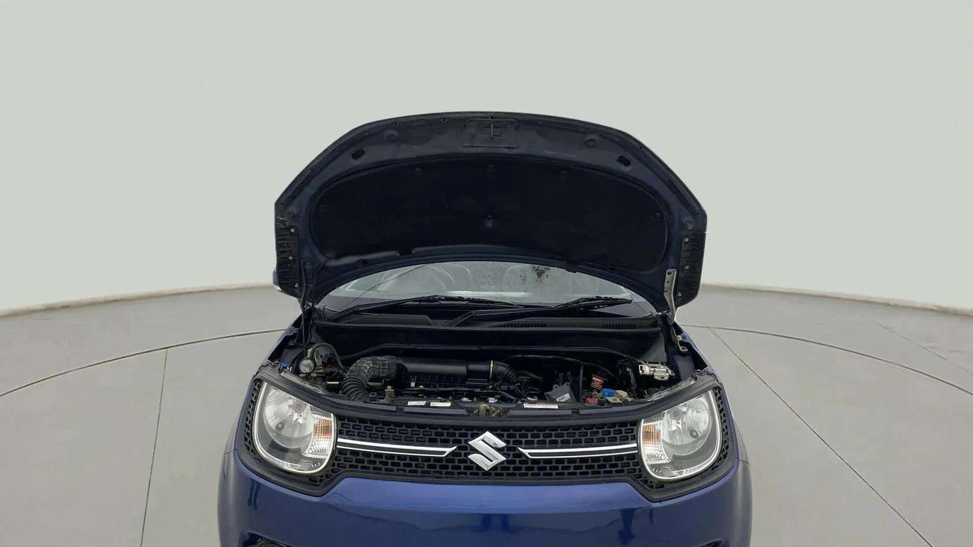 2019 Maruti IGNIS DELTA 1.2, CNG, Manual, 71,402 km, Open Bonet