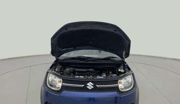 2019 Maruti IGNIS DELTA 1.2, CNG, Manual, 71,402 km, Open Bonet