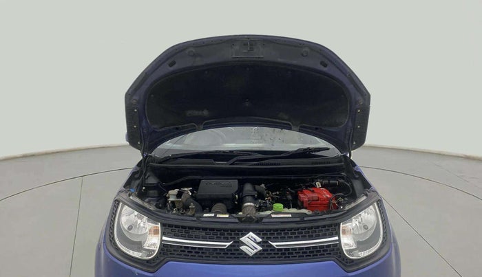 2017 Maruti IGNIS DELTA 1.3, Diesel, Manual, 42,660 km, Open Bonet