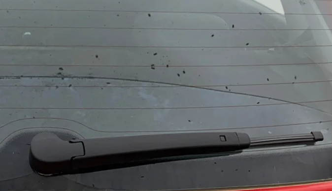 2018 Volkswagen Polo HIGHLINE PLUS 1.2(16 ALLOY, Petrol, Manual, 60,603 km, Rear Wiper