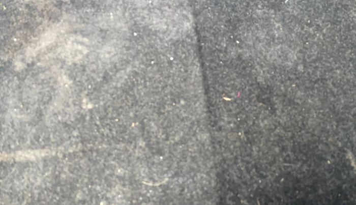 2019 Maruti Baleno DELTA PETROL 1.2, Petrol, Manual, 62,643 km, Boot Inside