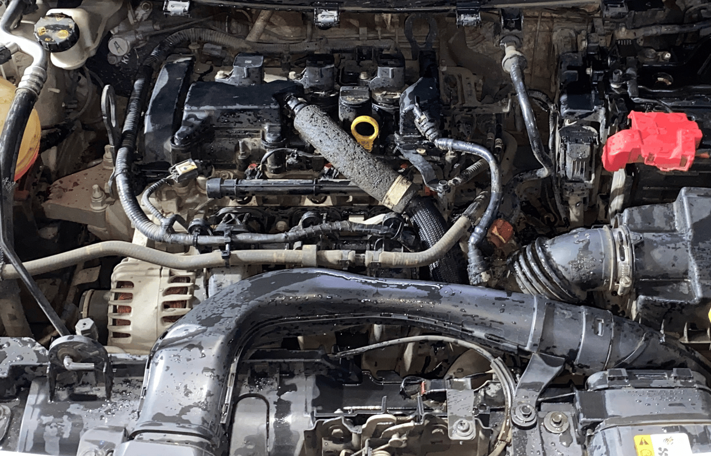 2019 Ford FREESTYLE TREND PLUS 1.2 PETROL, Petrol, Manual, 42,832 km, Engine View