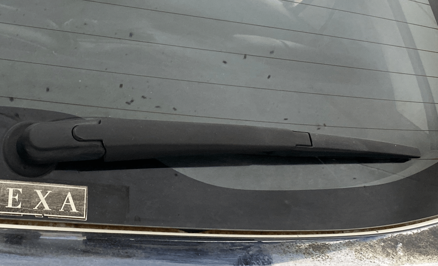 2018 Maruti IGNIS ALPHA 1.2, Petrol, Manual, 1,27,486 km, Rear Wiper