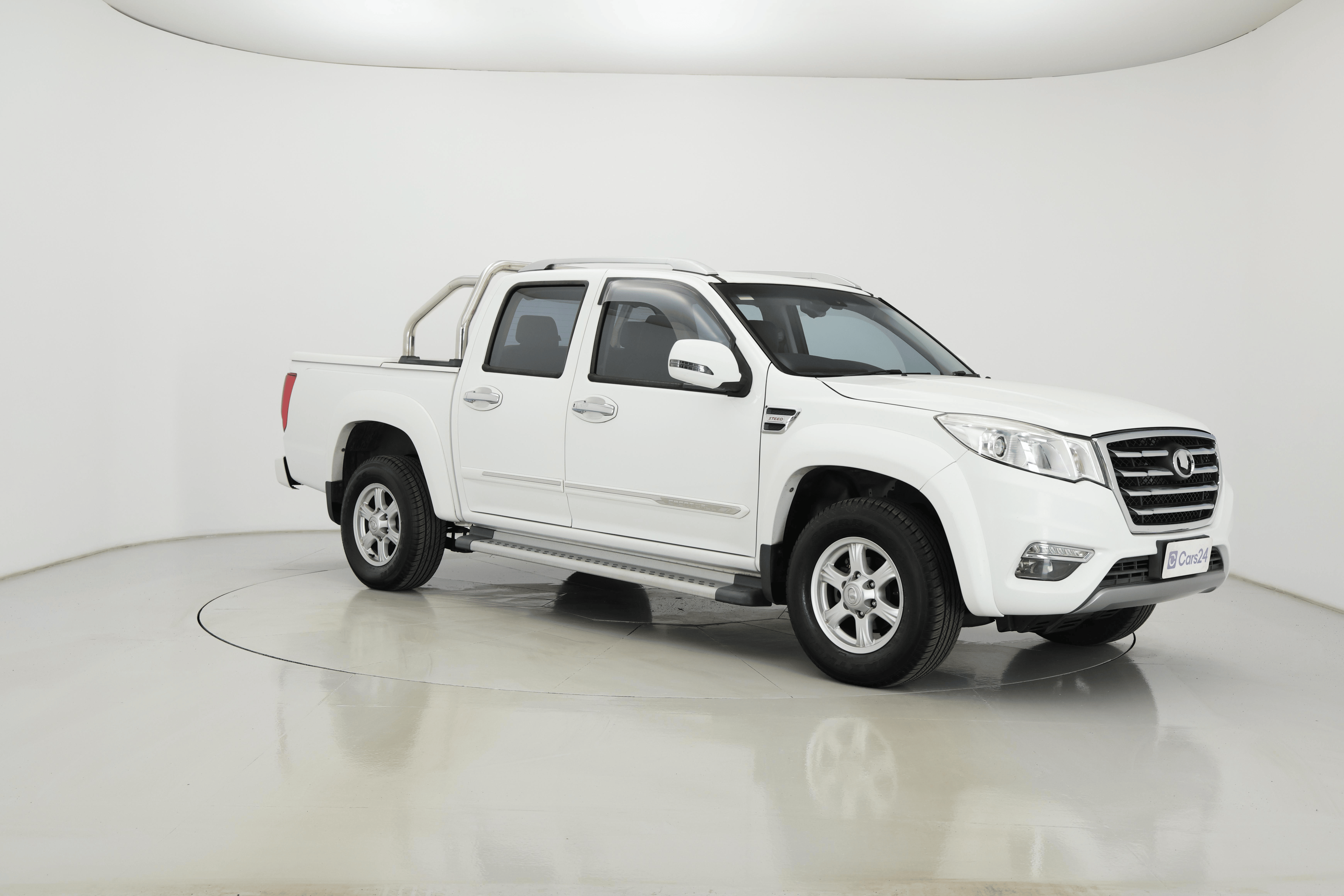 Great Wall Steed image