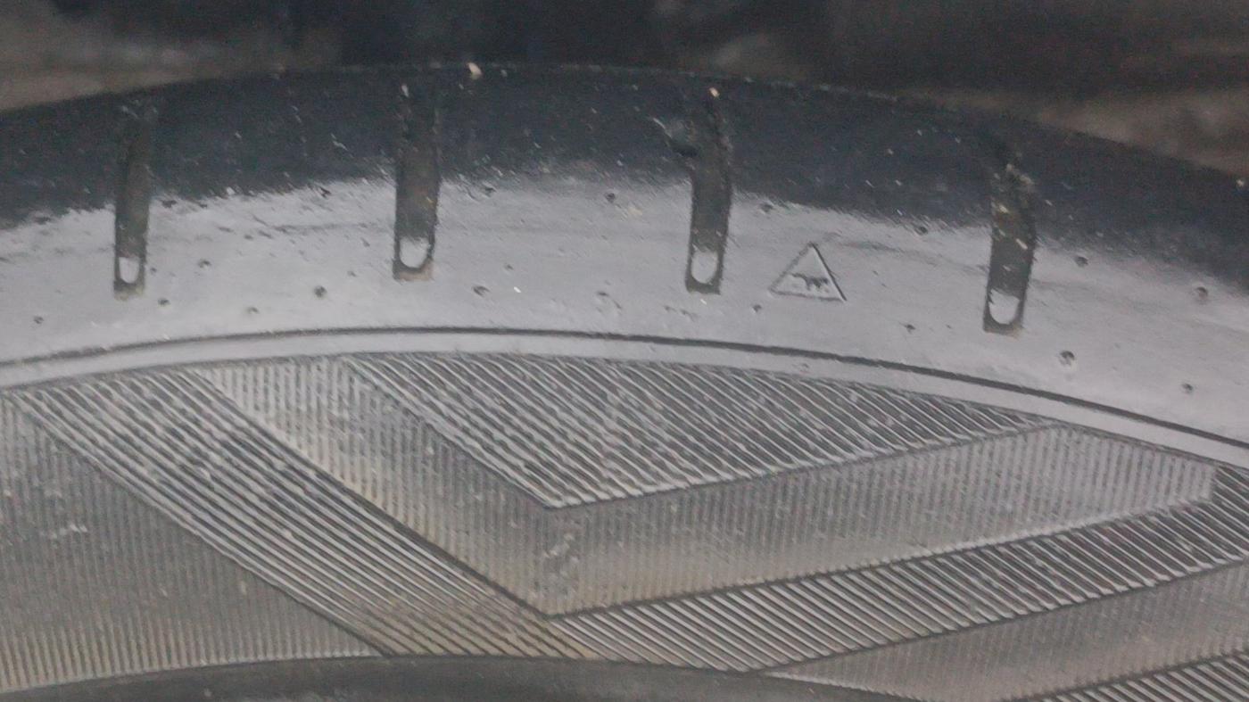 2019 Maruti Ciaz ALPHA 1.5 SHVS PETROL, Petrol, Manual, 57,659 km, Right Front Tyre Tread