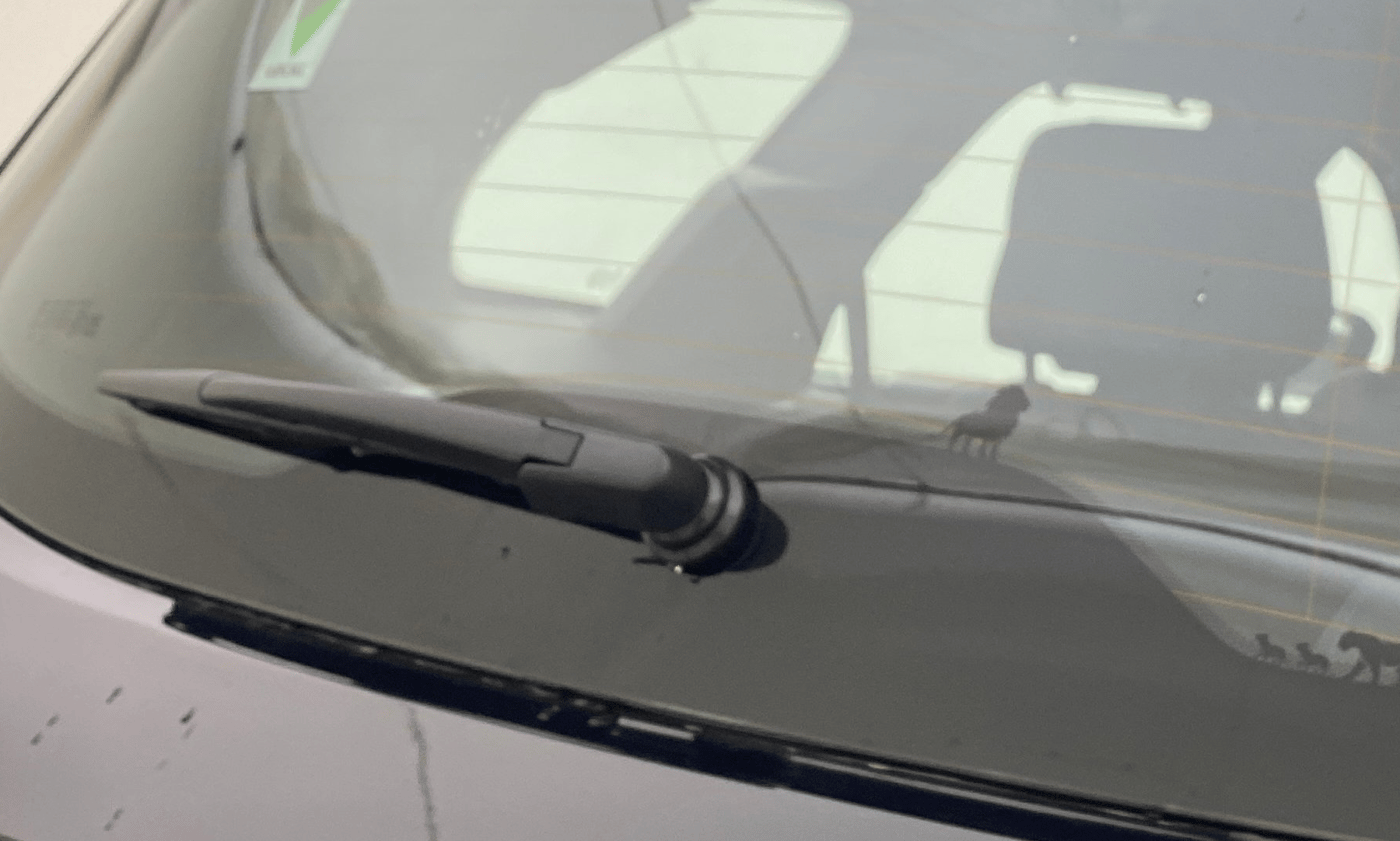 2024 Tata Safari ACCOMPLISHED DARK EDITION, Diesel, Manual, 15,890 km, Rear Wiper
