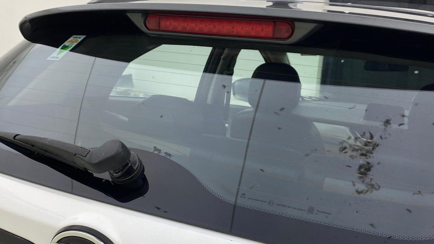 2021 Tata NEXON XZ PLUS PETROL, Petrol, Manual, 88,746 km, Rear Wiper