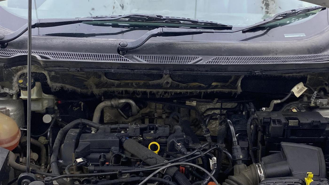 2019 Ford Ecosport TITANIUM 1.5L SIGNATURE EDITION (SUNROOF) PETROL, Petrol, Manual, 99,430 km, Engine View