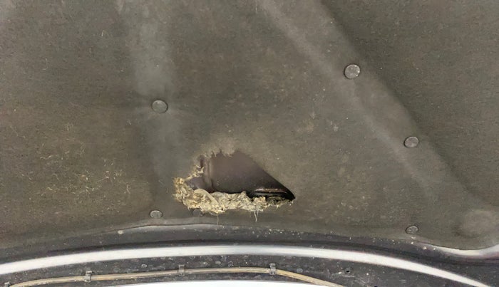 2014 Tata Zest XMS PETROL, Petrol, Manual, 47,341 km, Bonnet (hood) - Insulation cover has minor damage