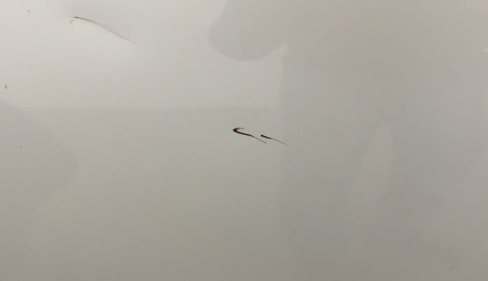 2018 Maruti Dzire ZDI AMT, Diesel, Automatic, 1,17,827 km, Front passenger door - Slight discoloration