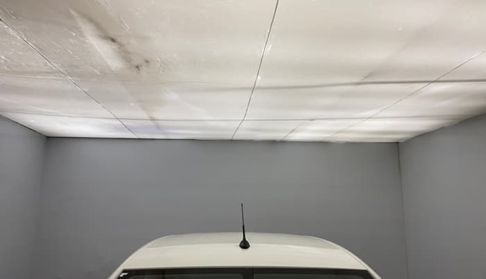 2024 Tata ALTROZ XM PLUS CNG, CNG, Manual, 18,993 km, Moonroof/ Sunroof