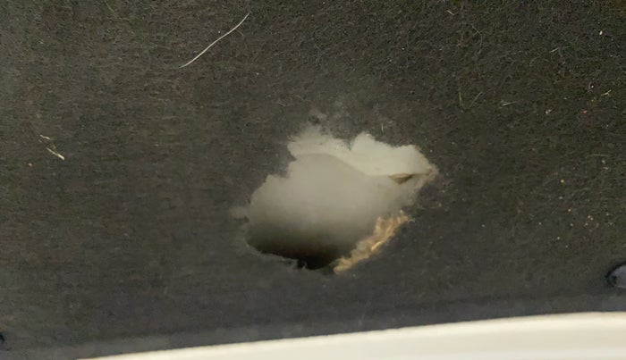 2013 Maruti Ertiga ZXI, CNG, Manual, 74,138 km, Bonnet (hood) - Insulation cover has minor damage
