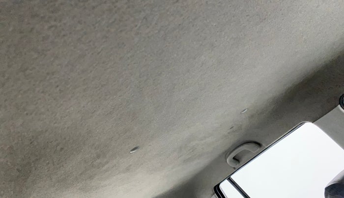 2014 Maruti Wagon R 1.0 LXI CNG, CNG, Manual, 57,087 km, Ceiling - Roof lining minor dirty