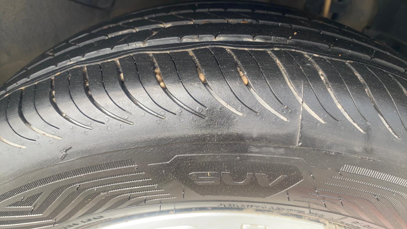 2019 Tata NEXON XM PETROL, CNG, Manual, 50,843 km, Left Rear Tyre Tread