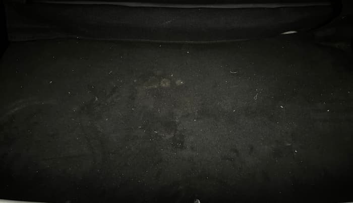 2023 Tata PUNCH CREATIVE  MT, Petrol, Manual, 15,089 km, Boot Inside