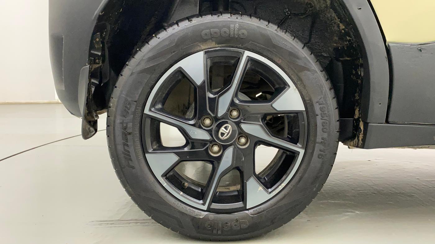 2022 Tata PUNCH CREATIVE 1.2 MT KAZIRANGA EDITION , Petrol, Manual, 14,011 km, Right Rear Wheel